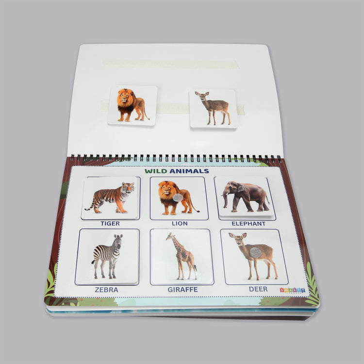Set of 3 Binders (Animals, Fruits and Transport)