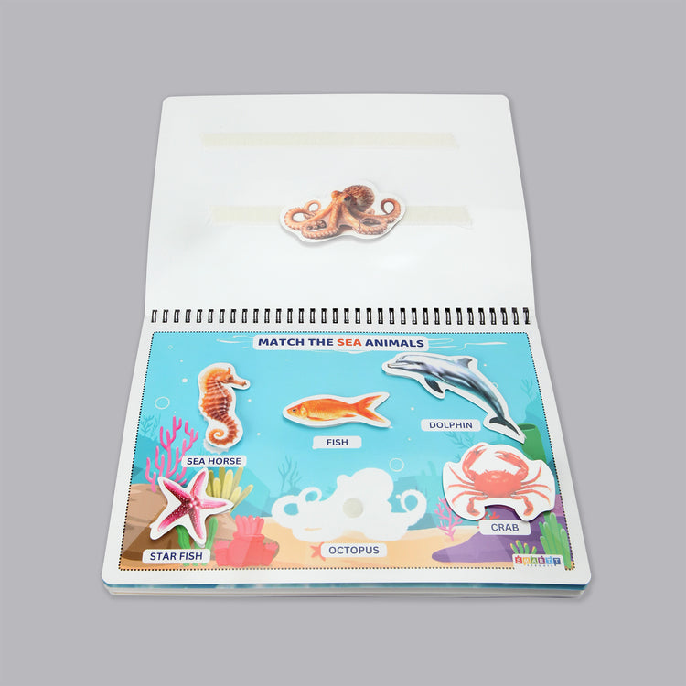 Animal Book