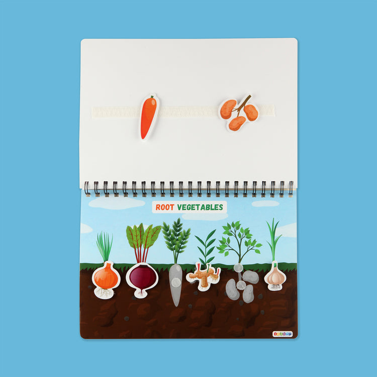 Set of 3 Binders (Animals, Fruits and Transport)
