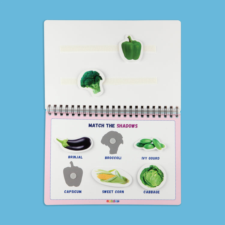 Set of 3 Binders (Animals, Fruits and Transport)