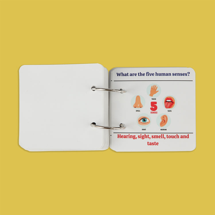 General Knowledge Cards