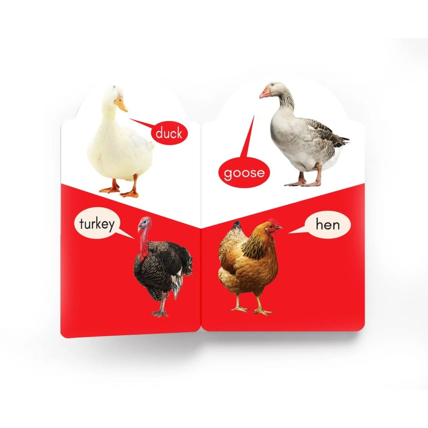My Early Learning Book of - Birds