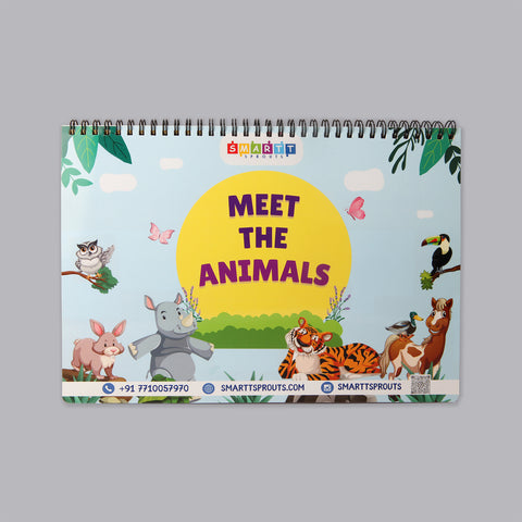 Set of 3 Binders (Animals, Fruits and Transport)
