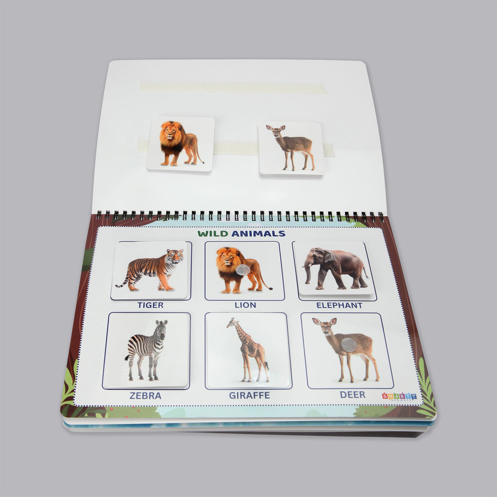 Set of 3 Binders (Animals, Fruits and Transport)