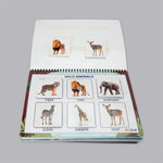 Set of 3 Binders (Animals, Fruits and Transport)
