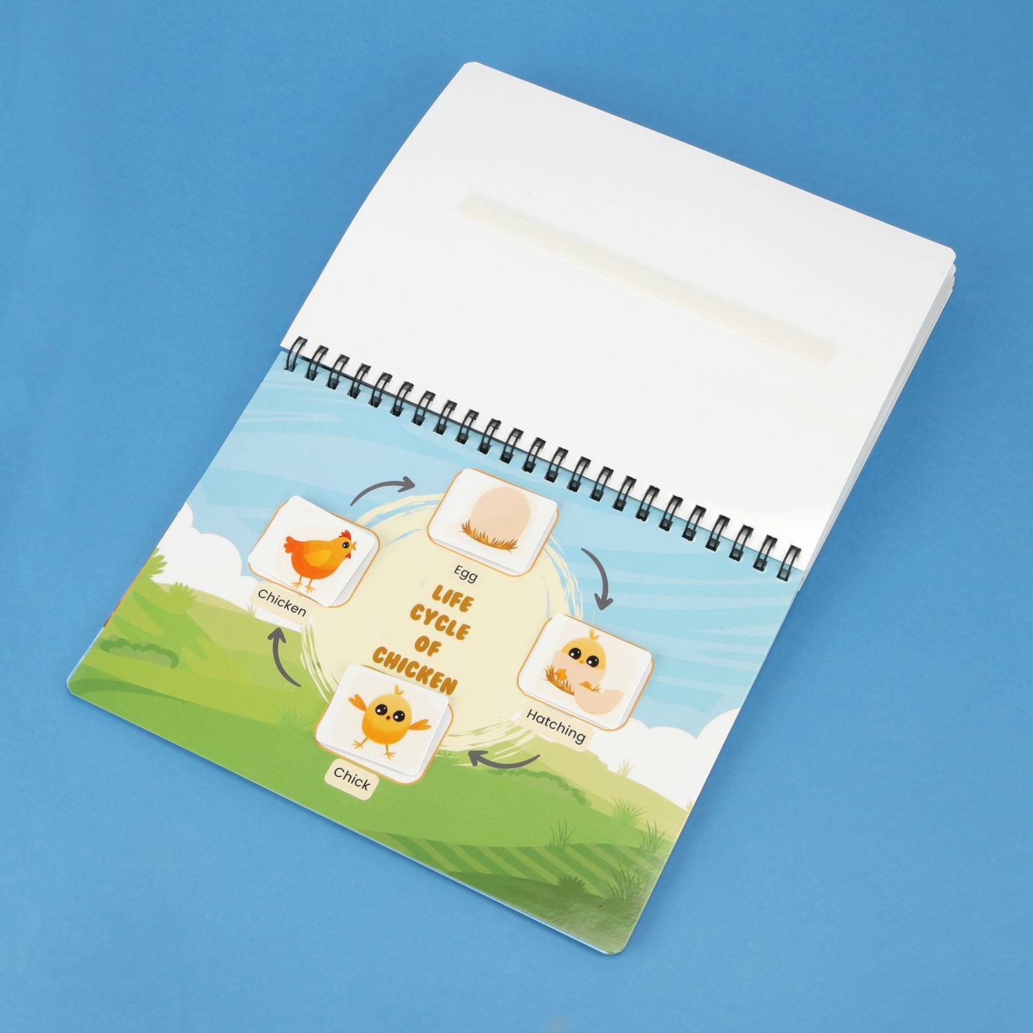 Life Cycle Binder