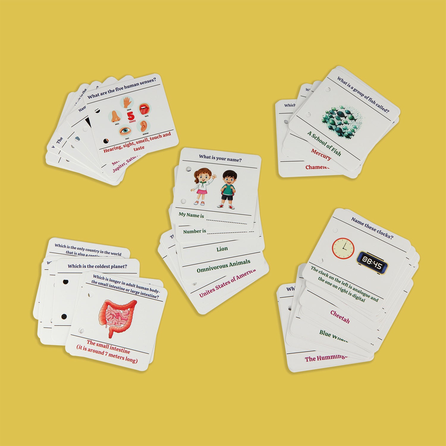 General Knowledge Cards